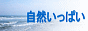 自然いっぱいの素材集